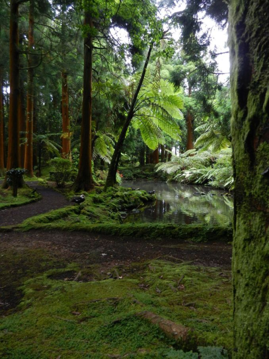 A nice park with ample opportunities for a picnic ...