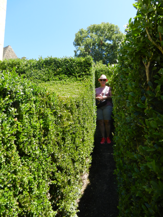 To end our visit: a photo of another of the rather unusual garden paths between the high boxwood hedges.